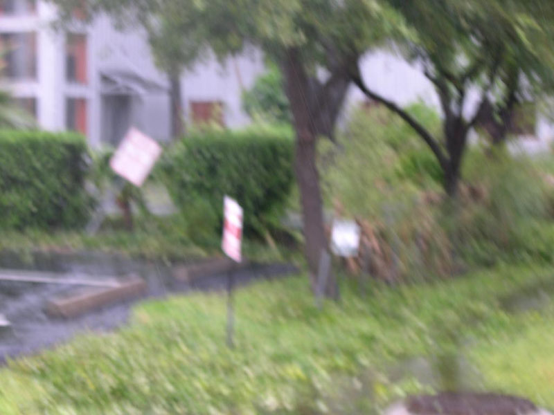 DSCN4708