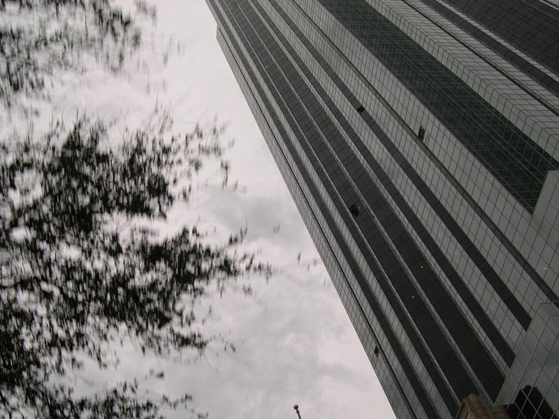 DSCN4733