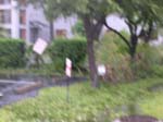 DSCN4708