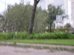 DSCN4731