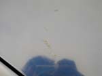 DSCN4775
